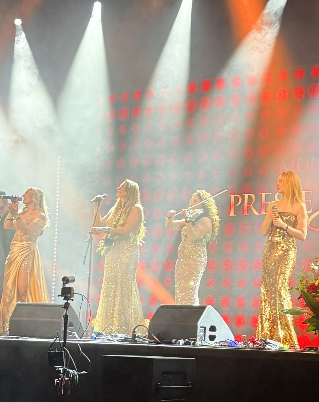 Partyband Damenband Live-Auftritt auf der Bühne